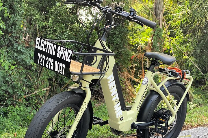 Full Day Electric Bike Rental in St. Petersburg Florida - Photo 1 of 6